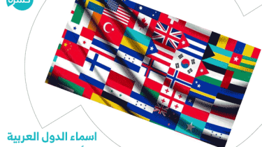 اختصارات الدول | اسماء الدول العربية والأجنبية بالإنجليزي